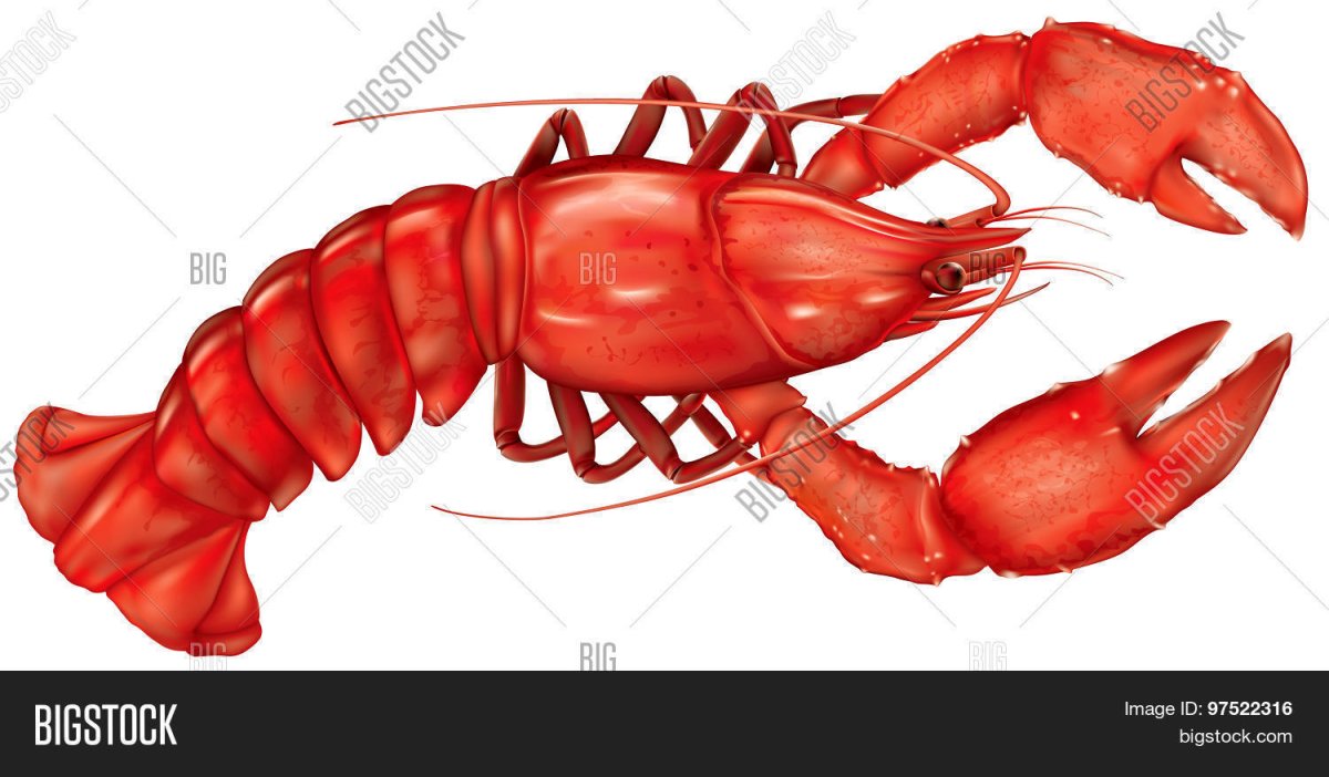 Лобстер гигантский YF ,TKJV AAJYT