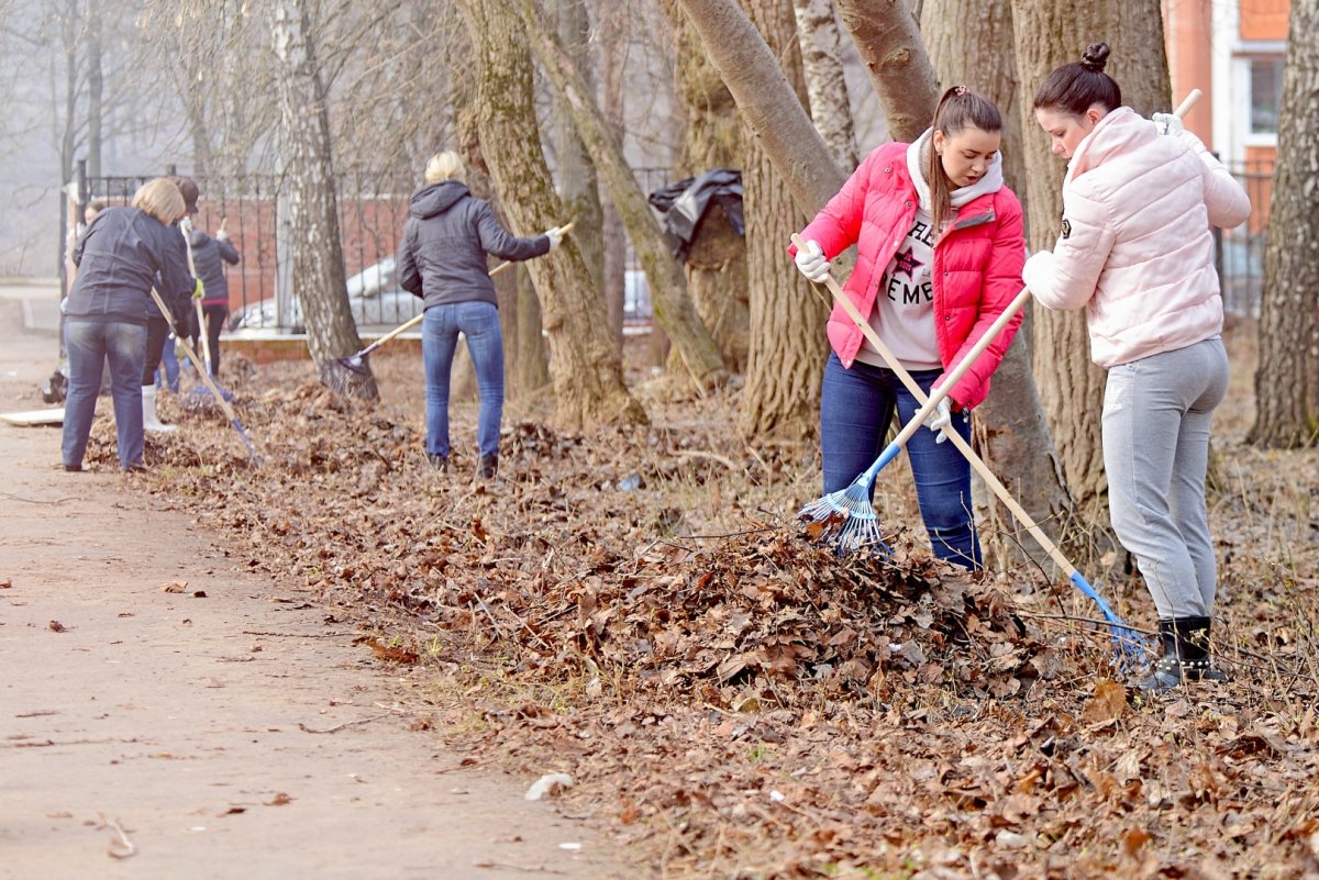 Общегородской субботник