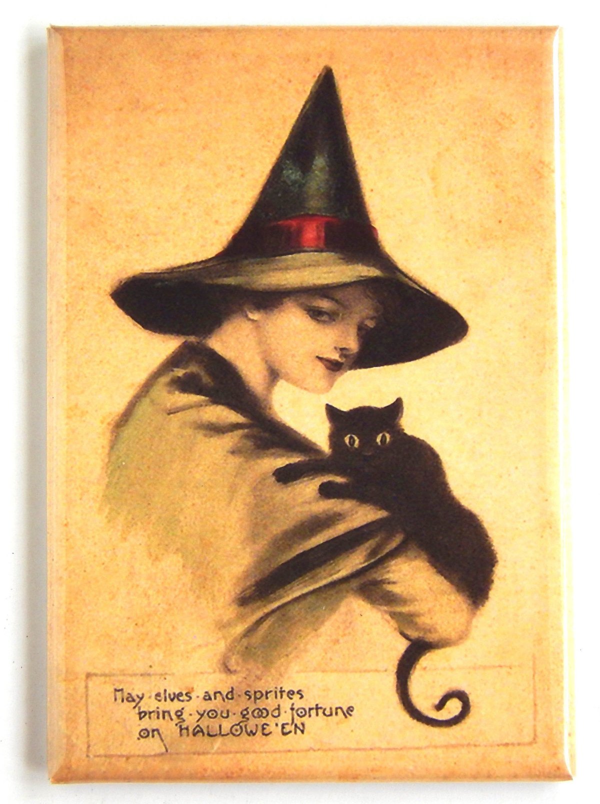 Терри Пратчетт ведьмы Ягг