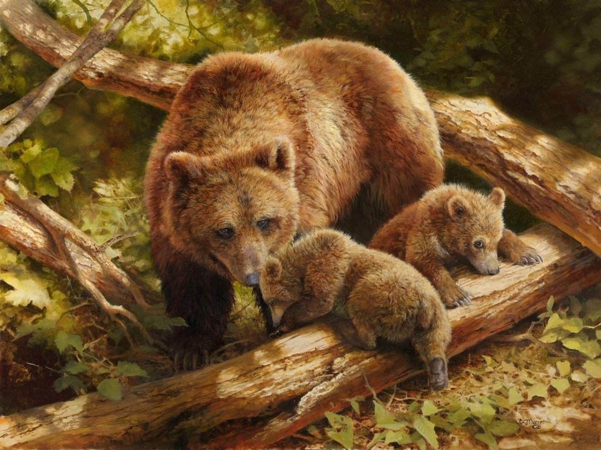 Звери в лесу акварель