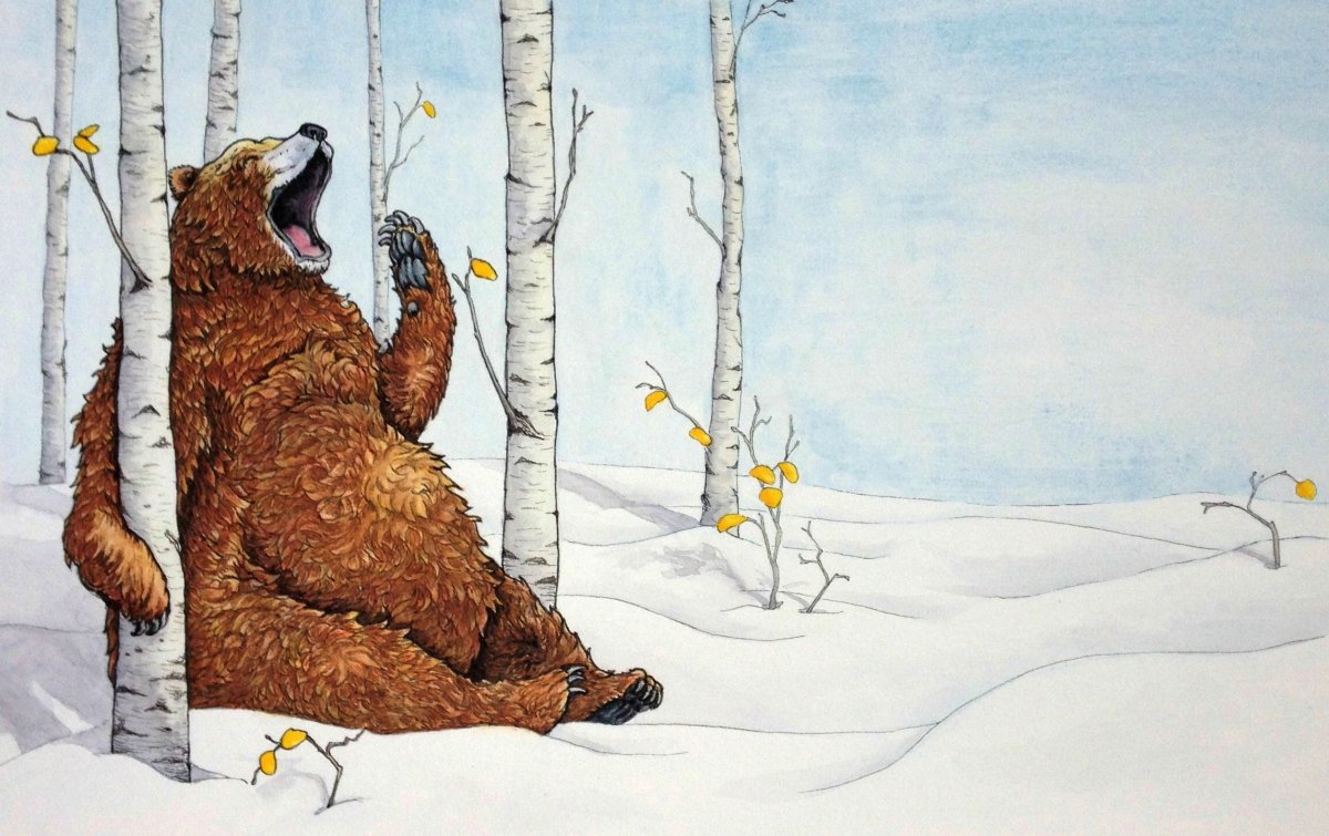 Медведь рисунок зима