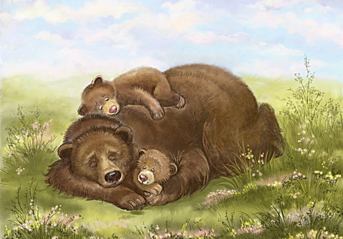 Медведь ранней весной