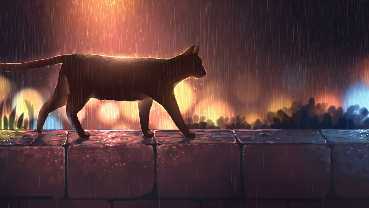 Дождь за окном