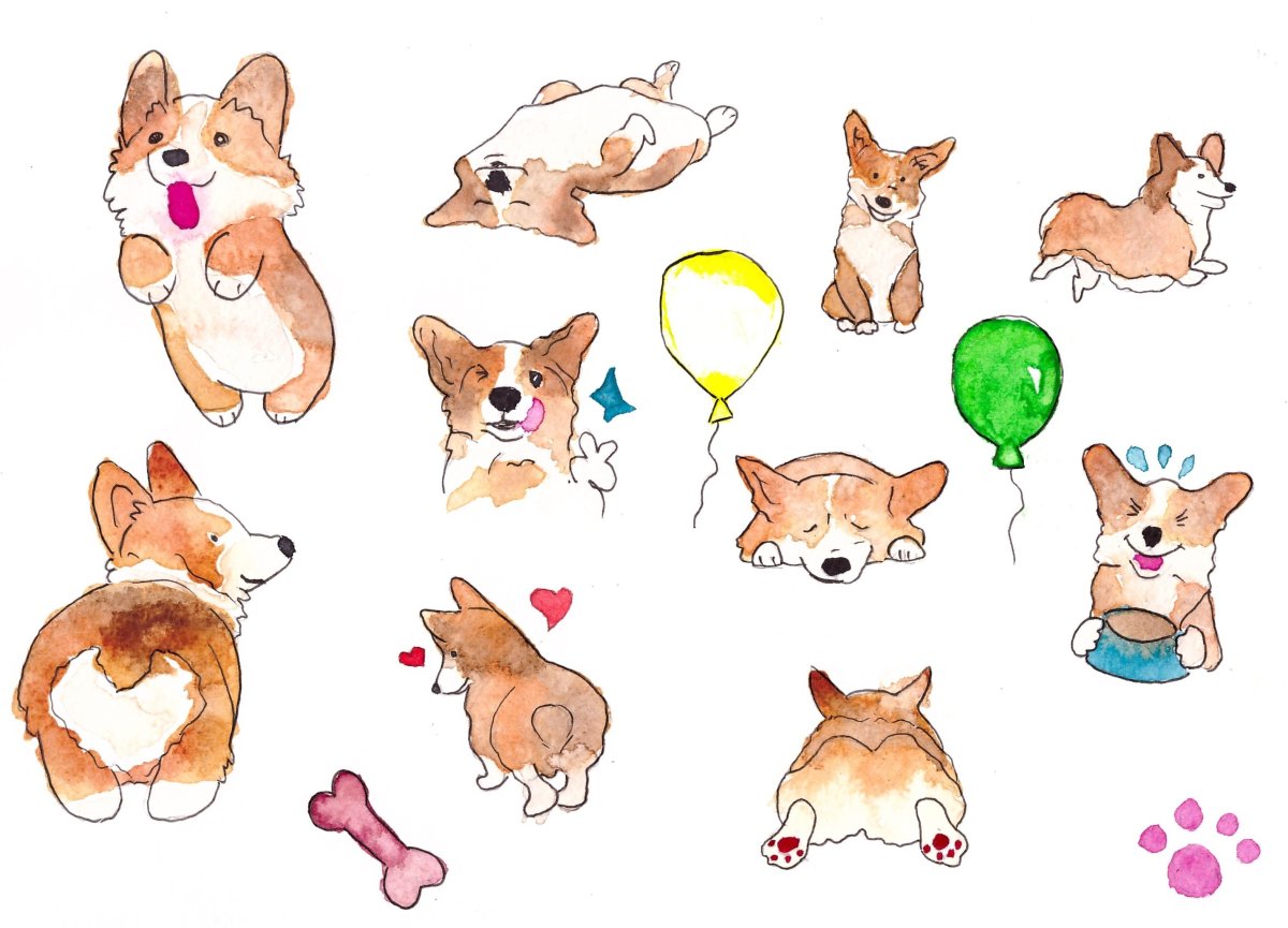 Арт собаки Сибу ино Акито милые