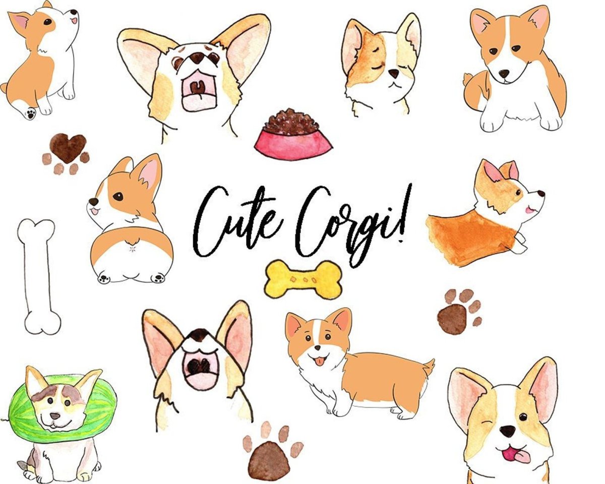 Фрилайн корги