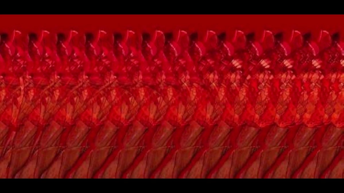 Стереограмма бабочка