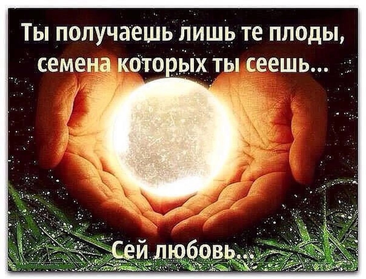 Красота и любовь спасут мир