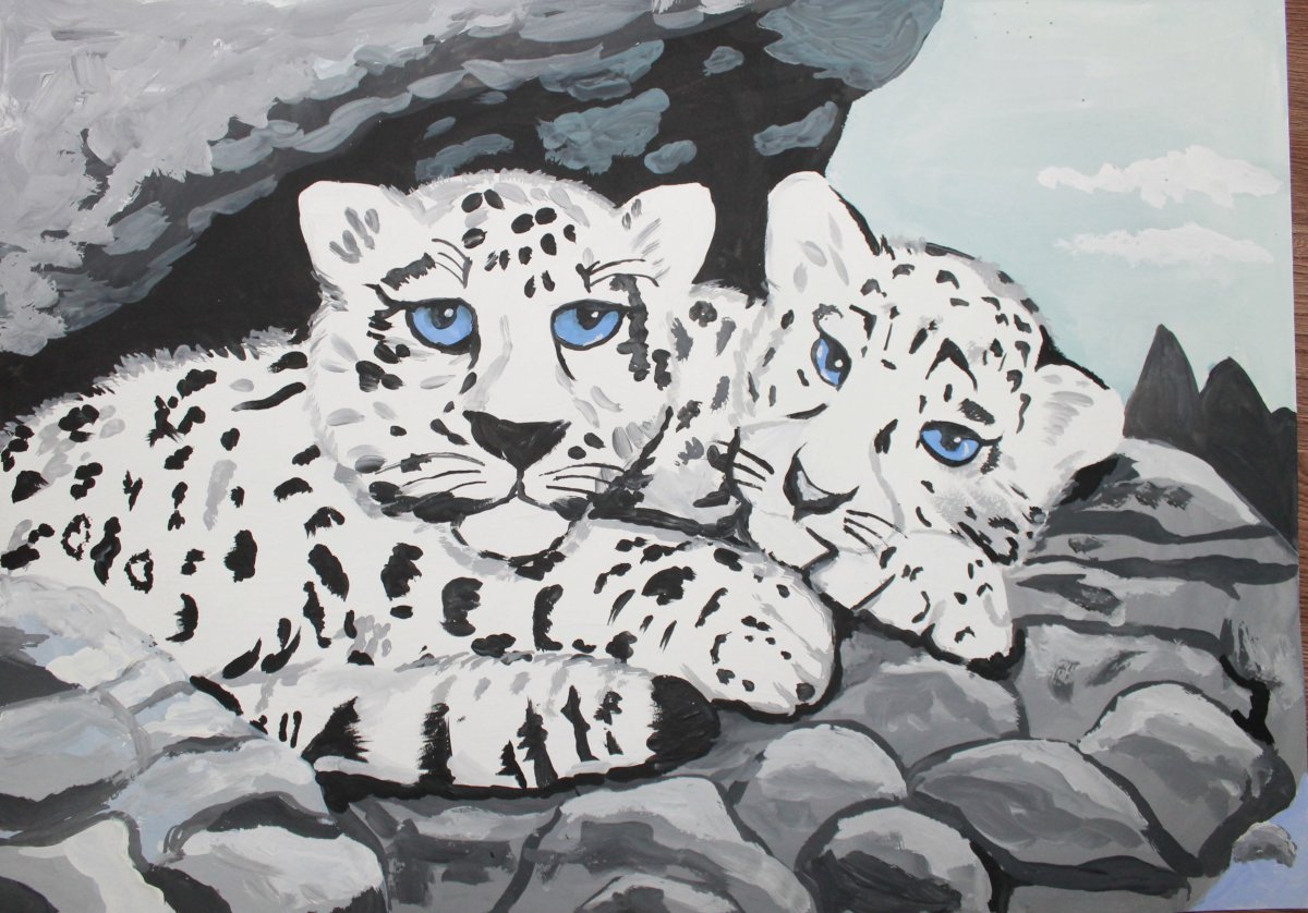 Снежный Барс Ирбис рисунок