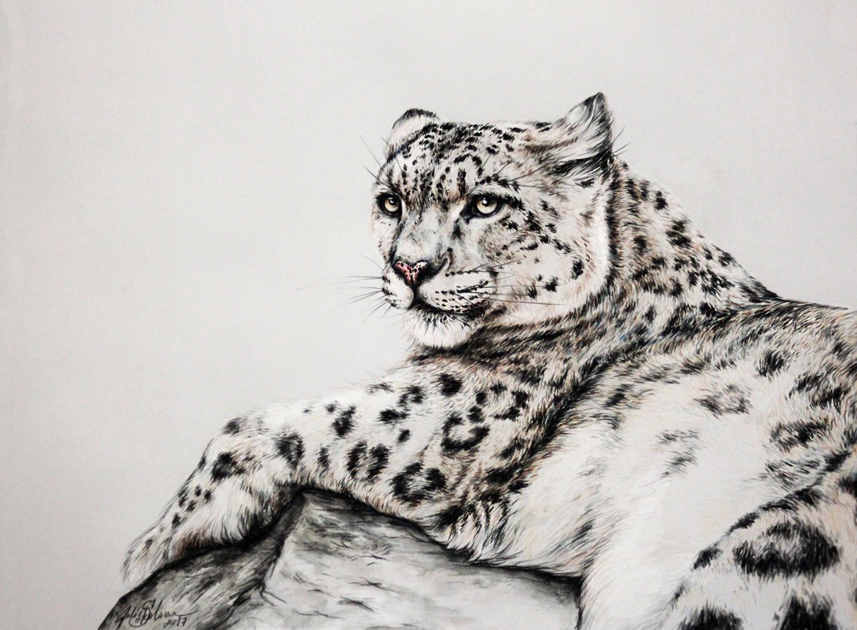 Печать с Ирбисом снежным Барсом