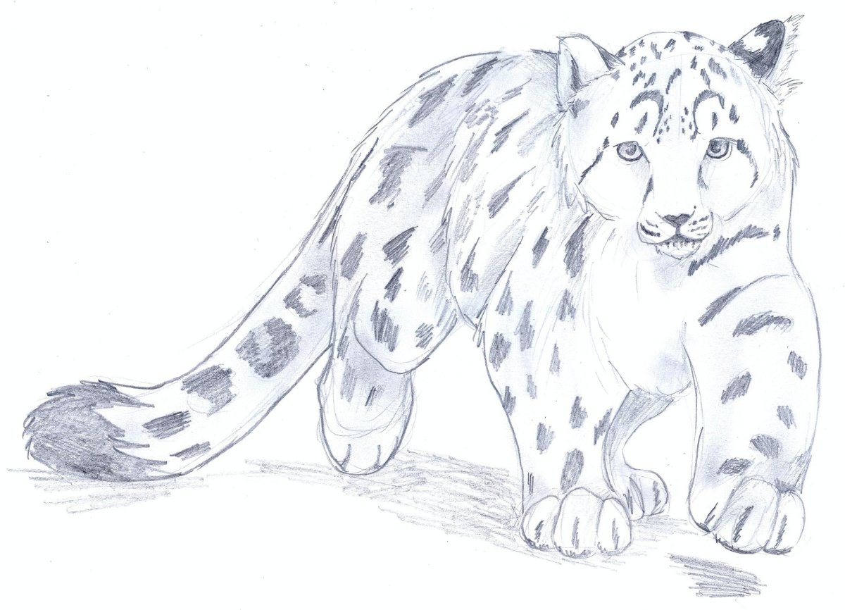 Снежный Барс мультяшный