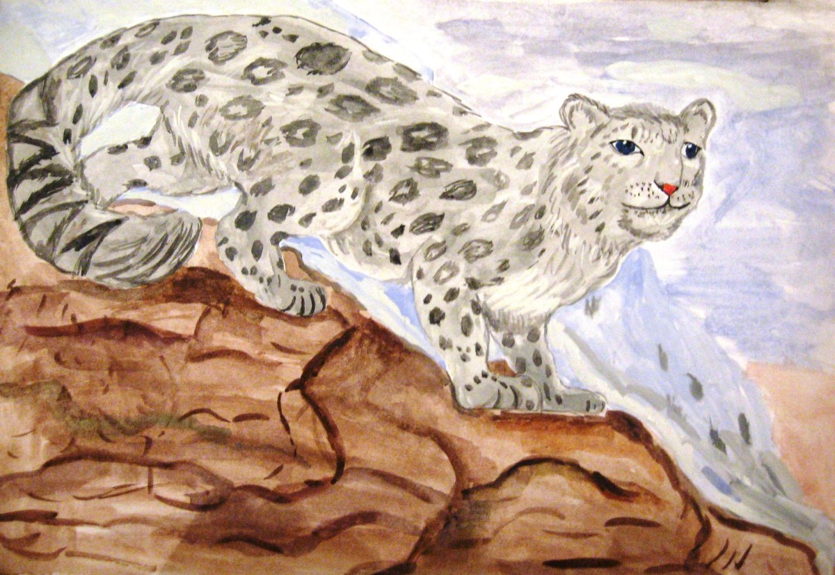 Снежный Барс детеныш рисунок