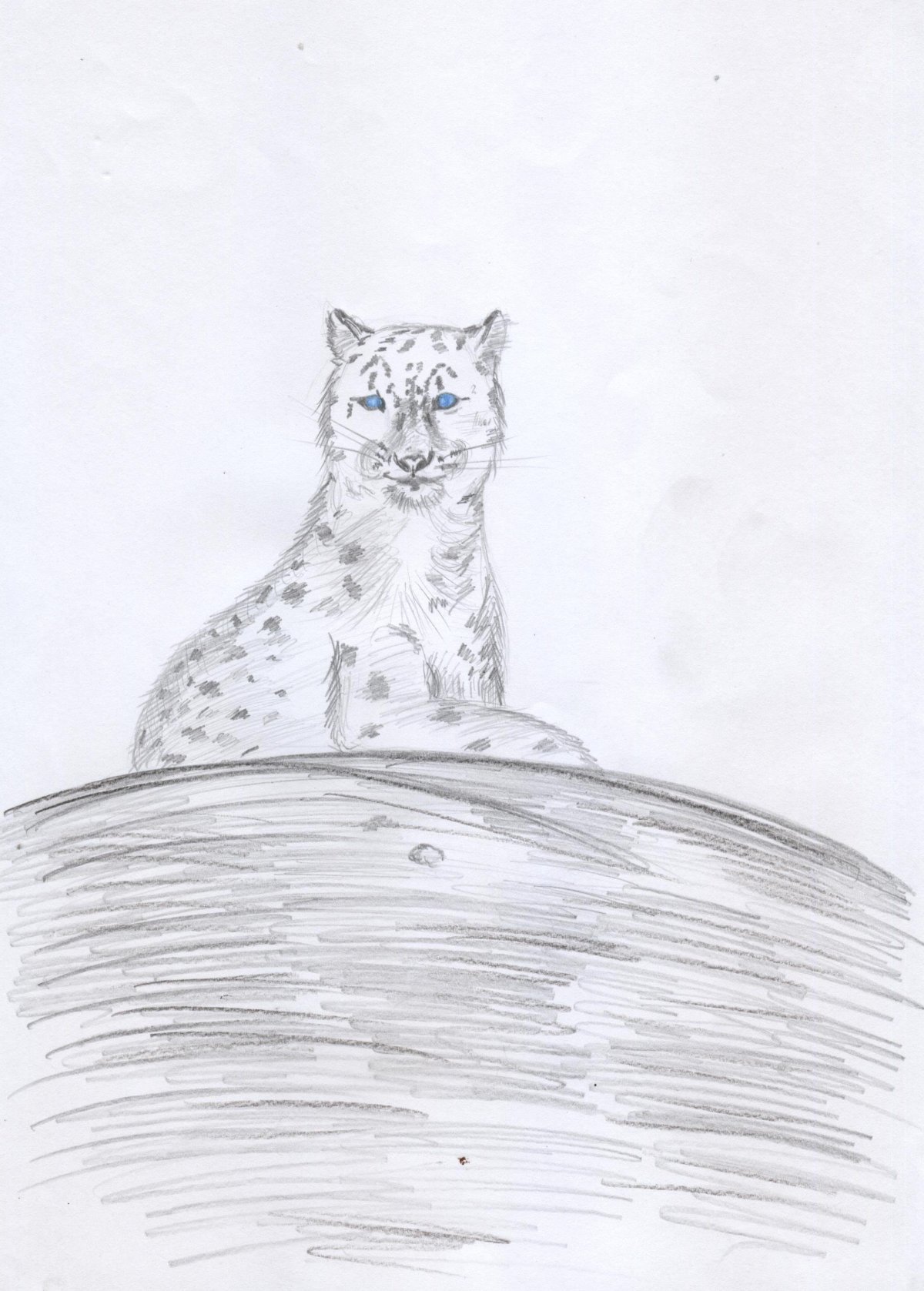 Снежный Барс Ирбис набросок