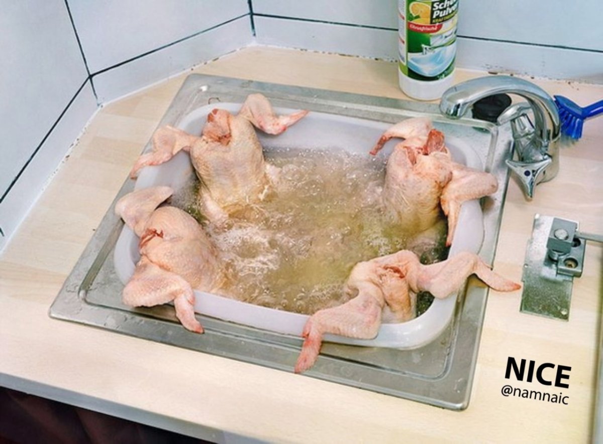 Мокрая курица фото