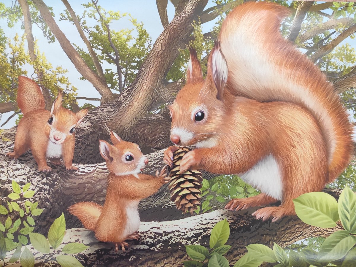 Европейский бурый медведь