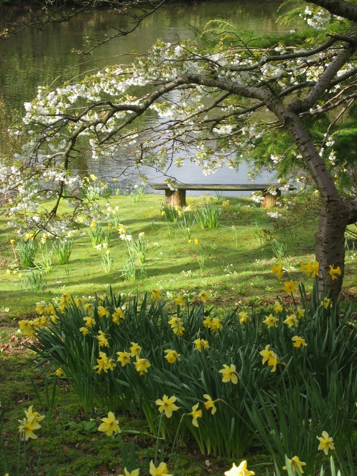 Весенний пейзаж