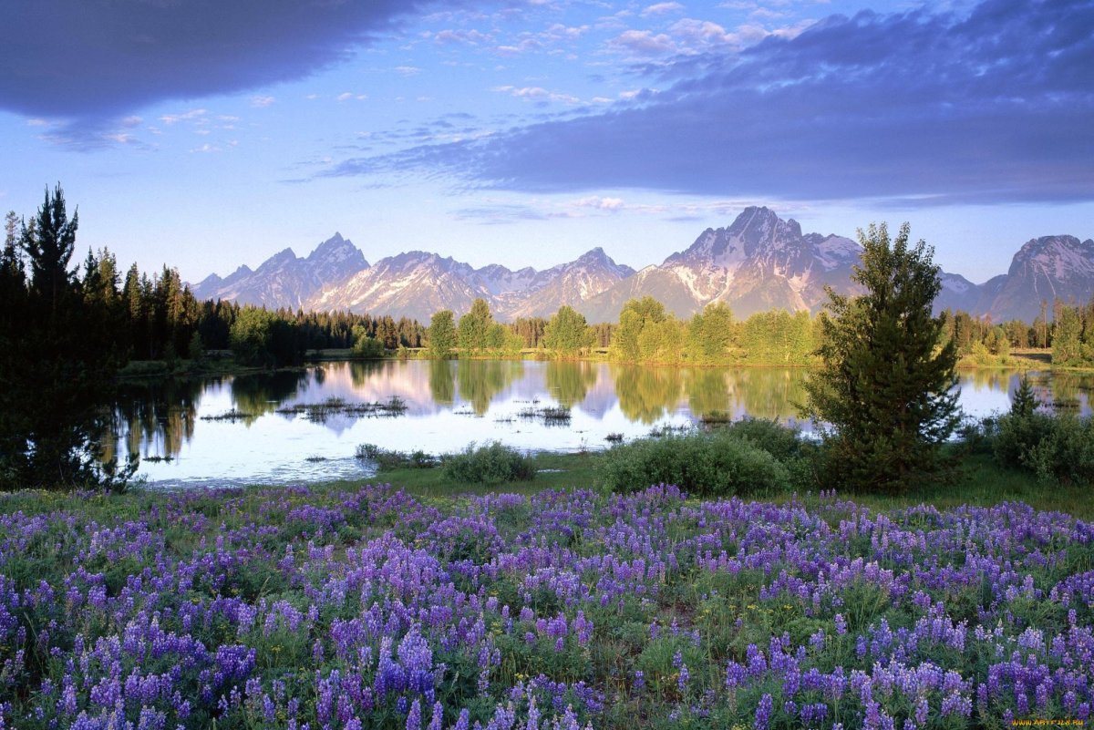 Гранд Титон горные Луга