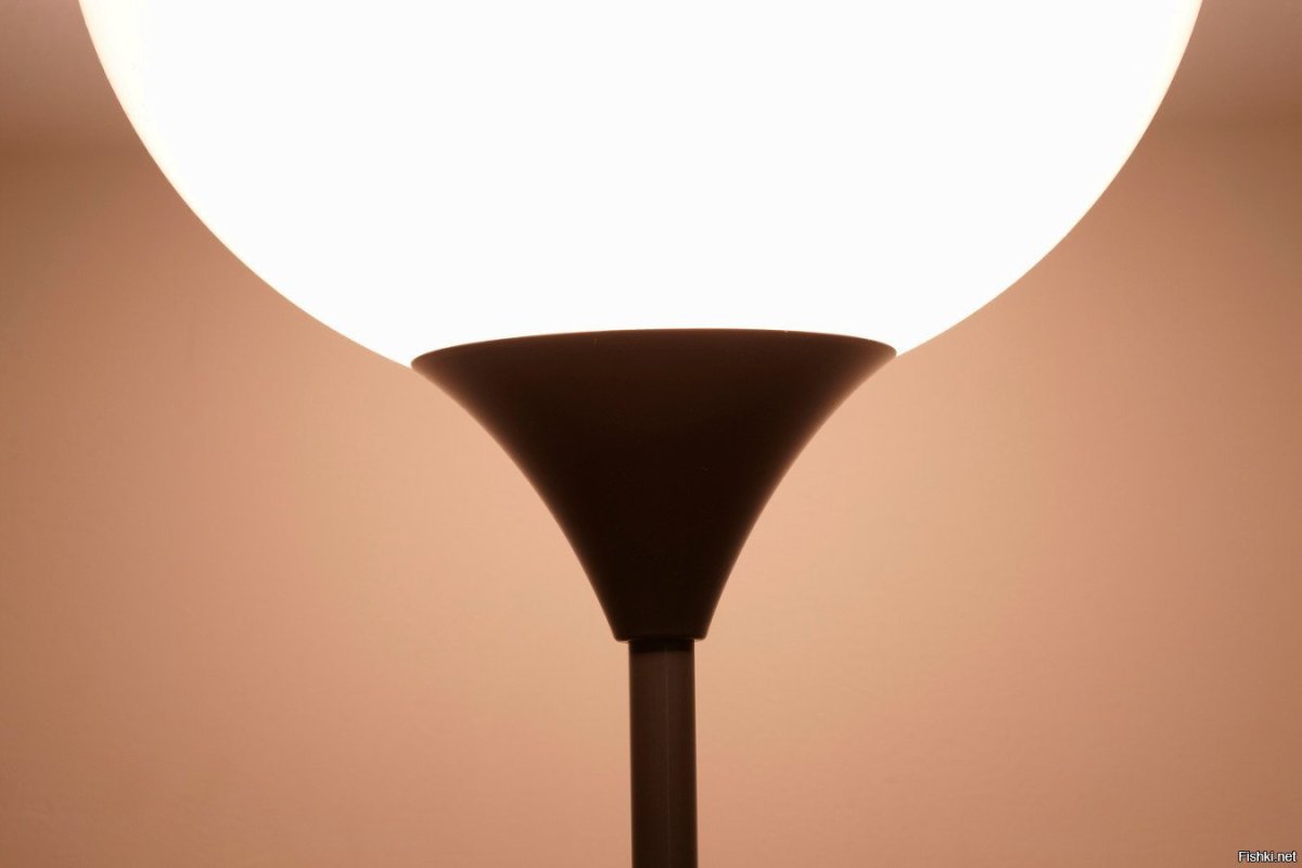 Живопись на стенах в интерьере