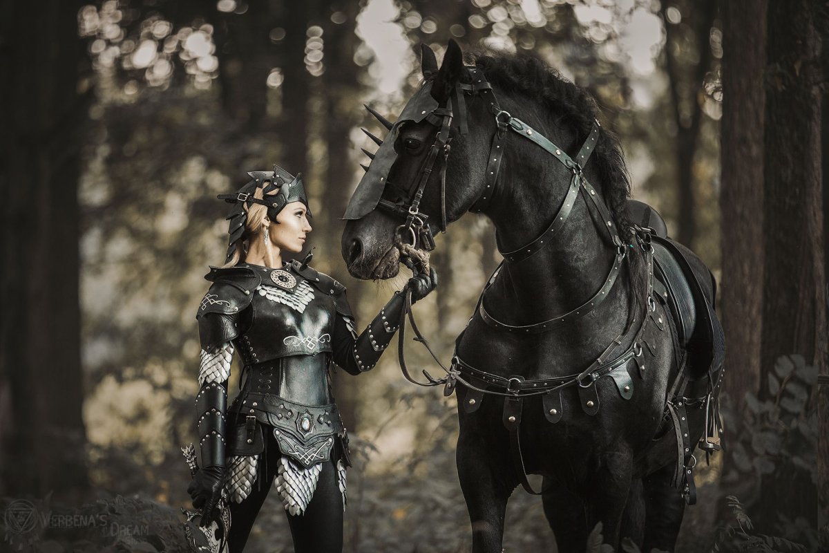 Дарья Лефлер Black Knight