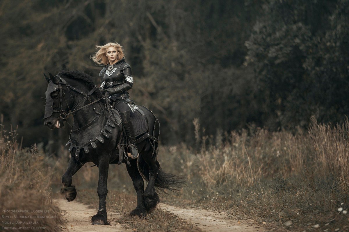 Дарья Лефлер черный рыцарь