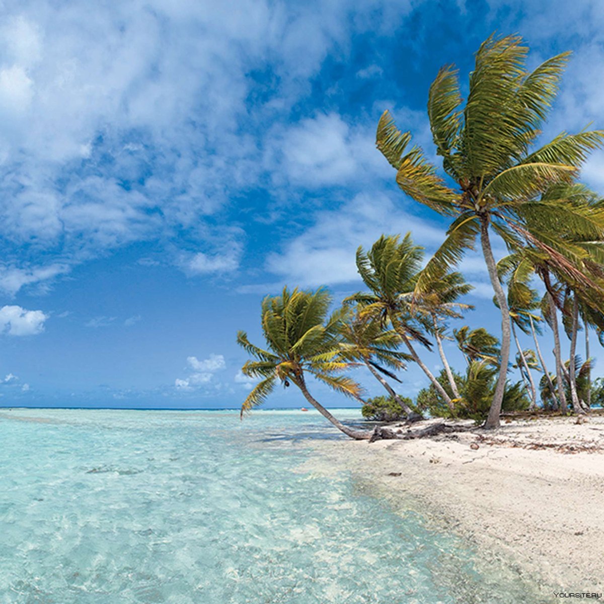 Тропический пляж панорама фото 8459х4197