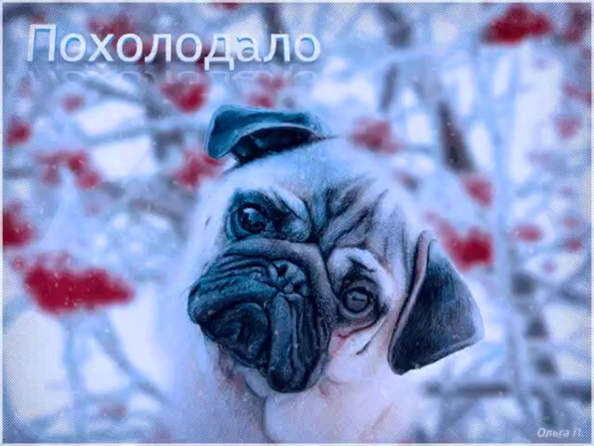 С добрым холодным утром