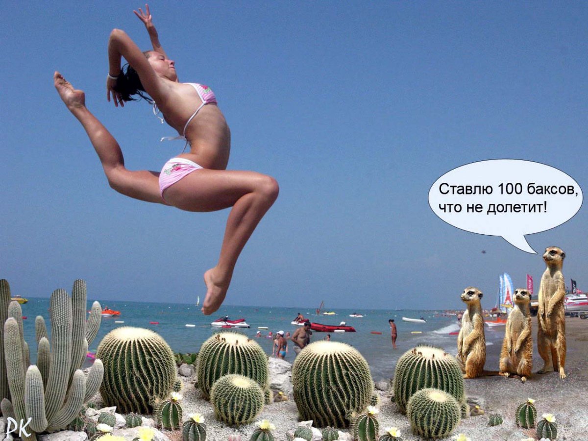 Юмор приколы