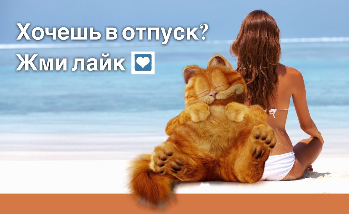 Доброе утро пальмы