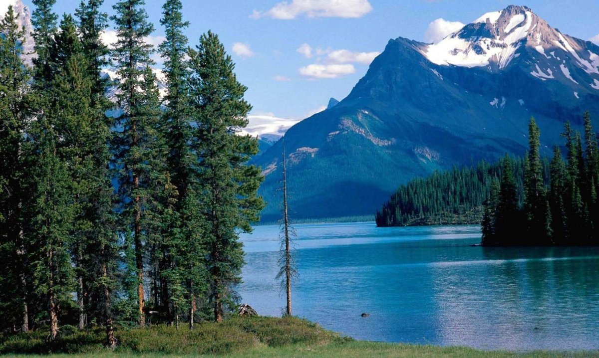 Джаспер парк и Альберта, Канада