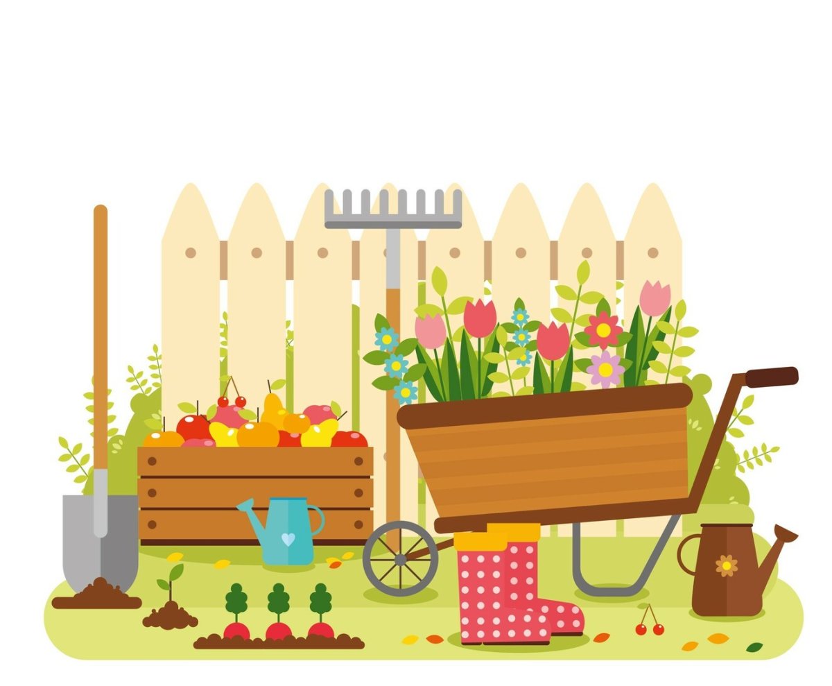 Огород на прозрачном фоне