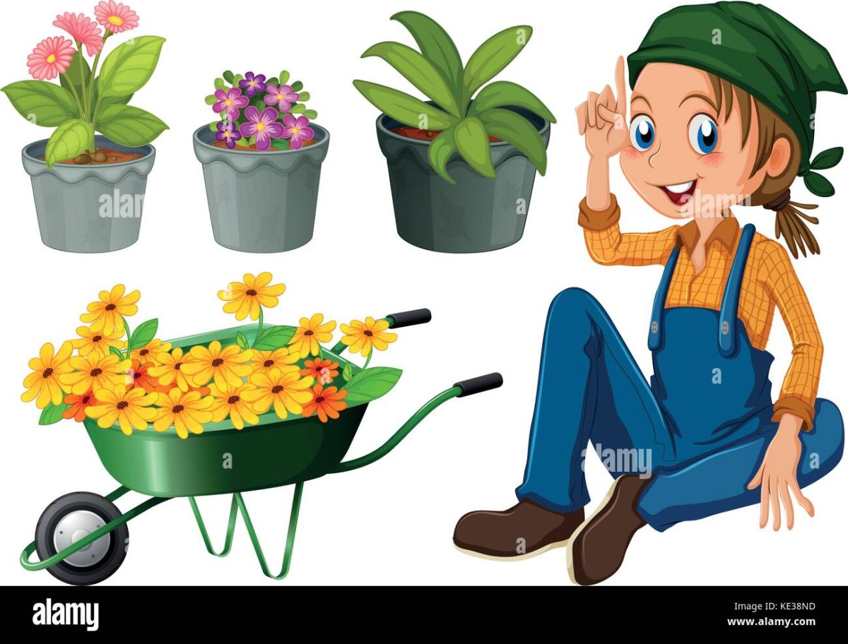 Цыеьовод картина для детей