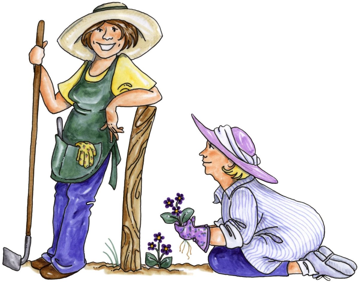 Огород рисунок