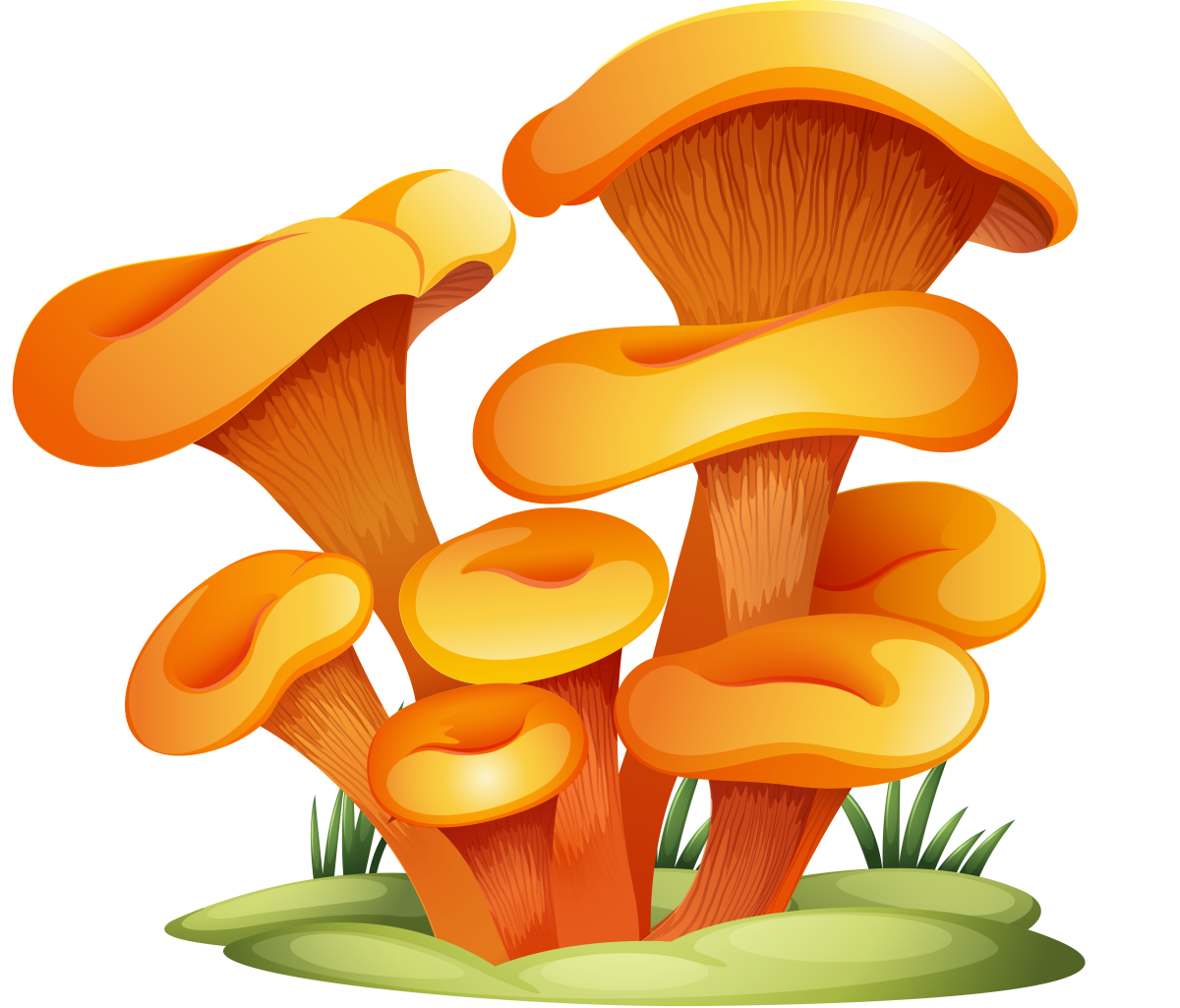 Опята мультяшные