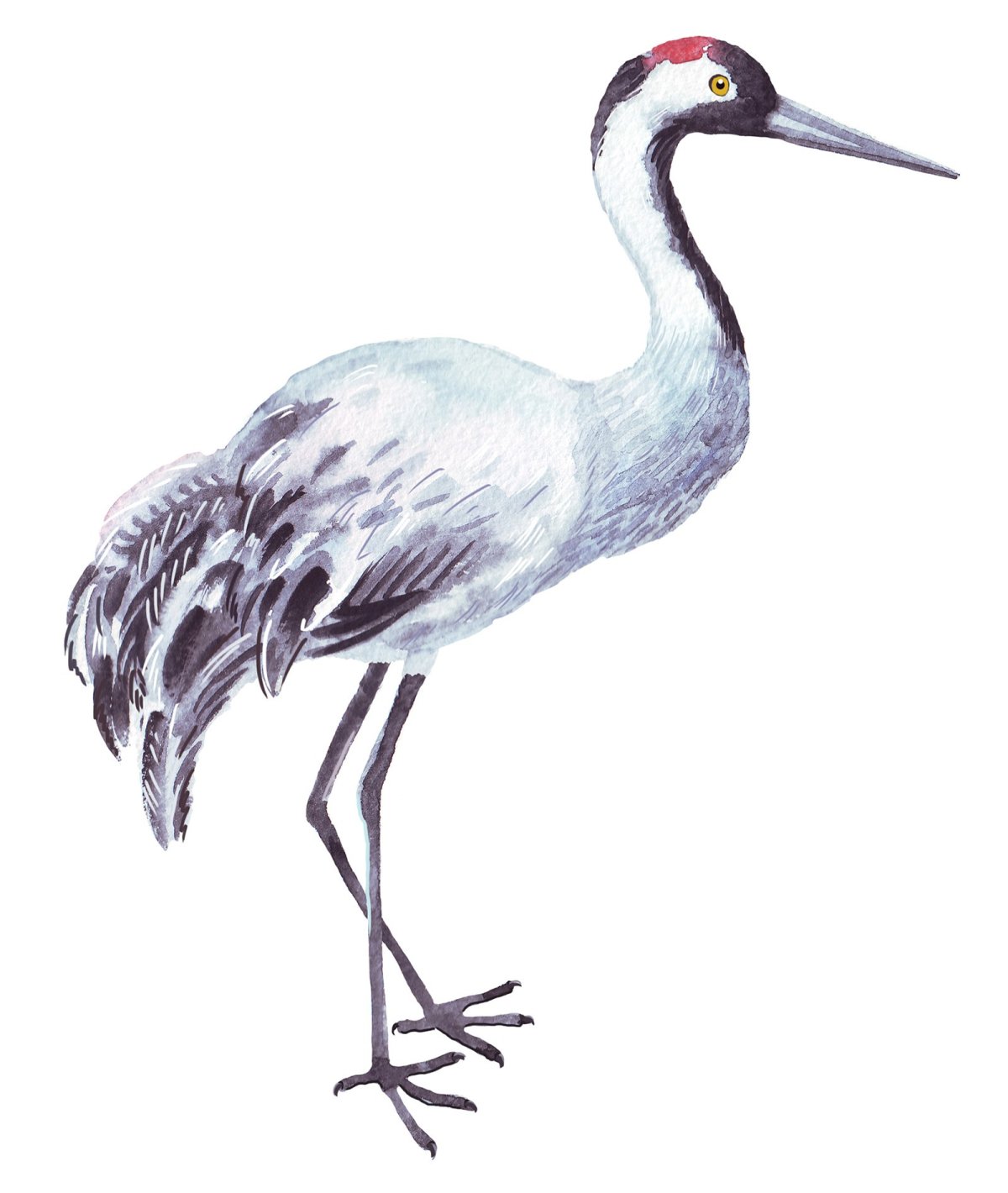 Журавль вектор