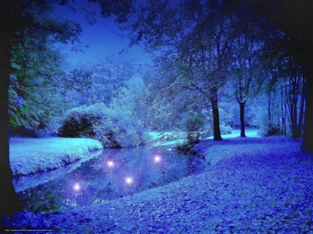 Красивая зима ночью