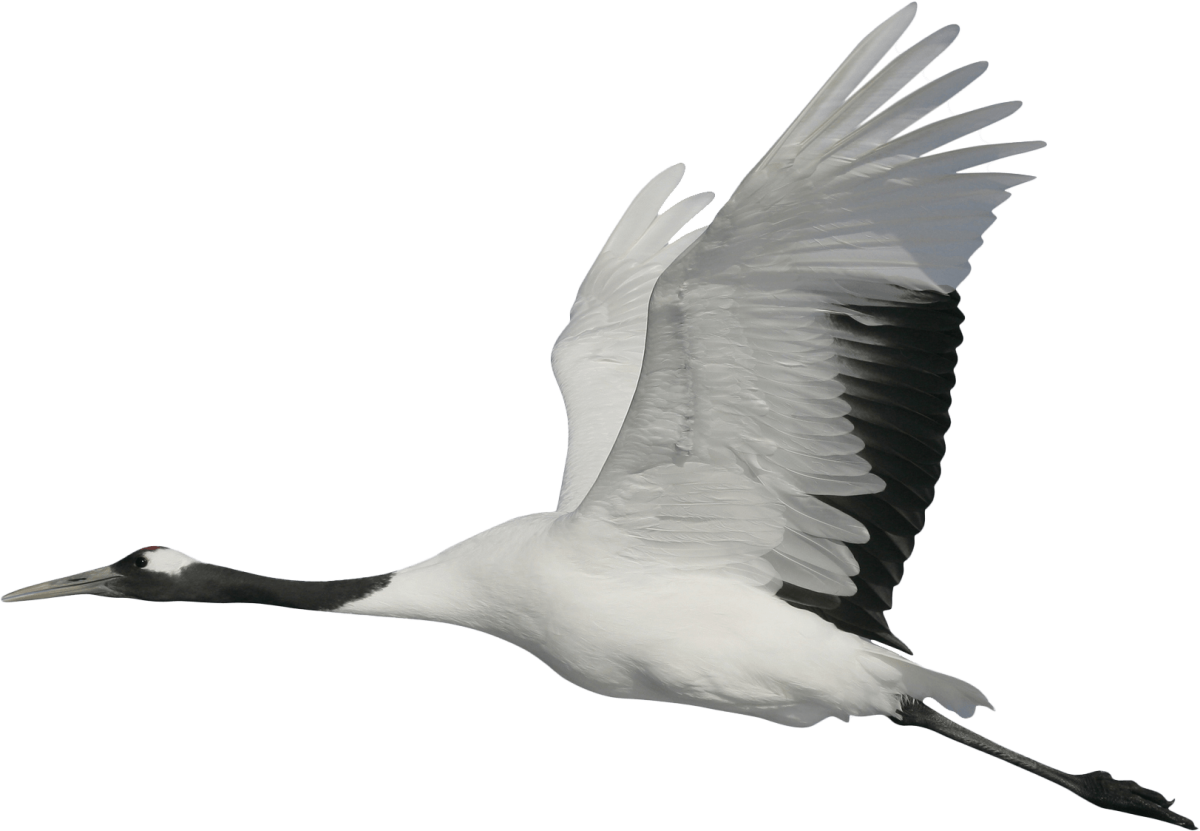 Стилизованный журавль