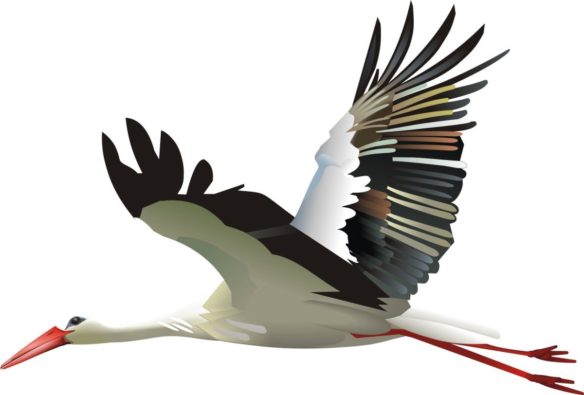 Аист с ребенком