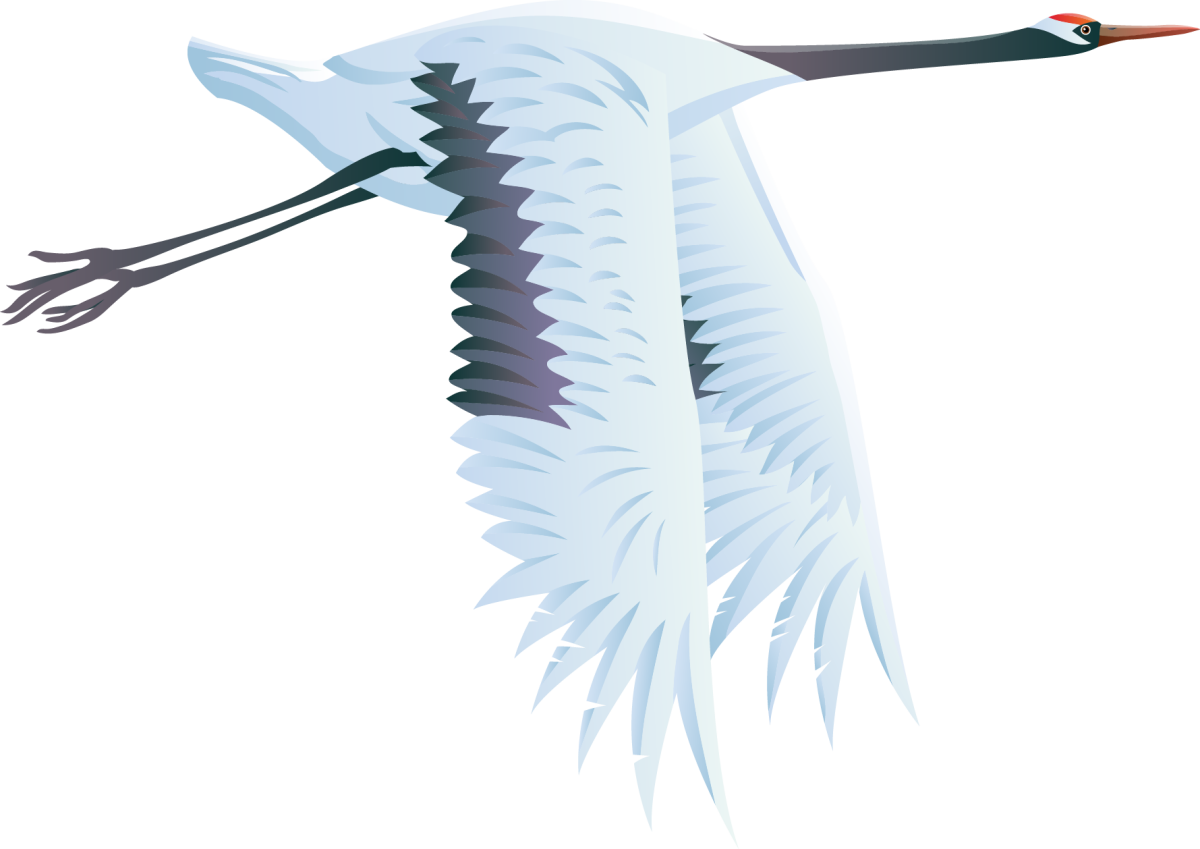 8469314088 Журавель