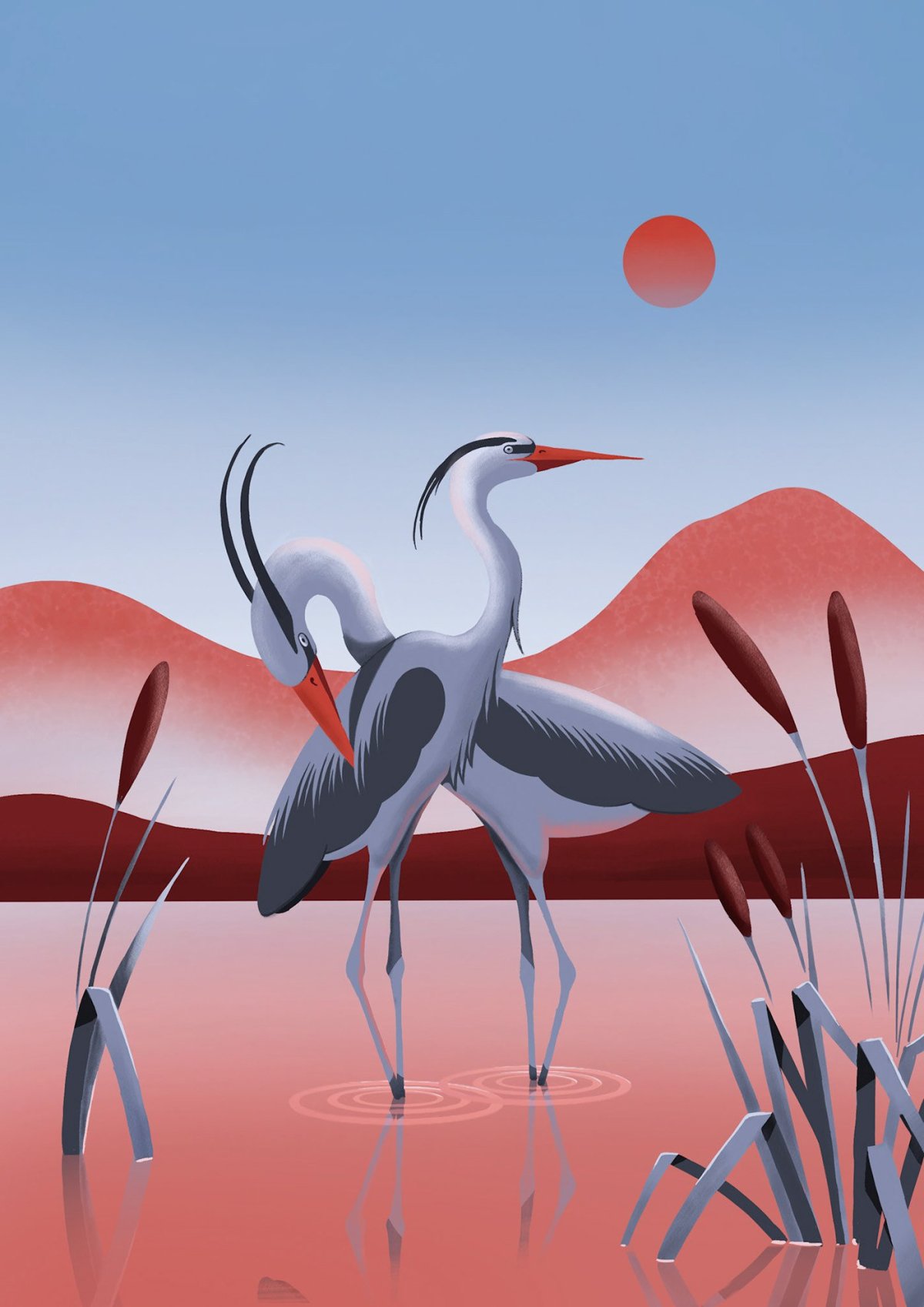 Серый журавль на белом фоне