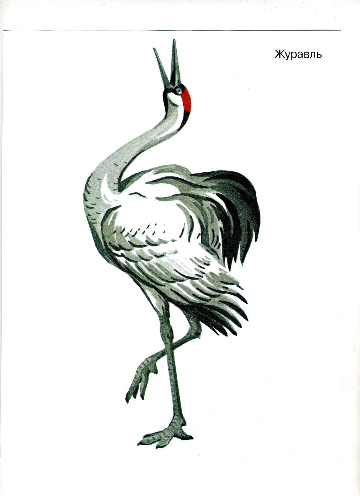 Пришвин журавль
