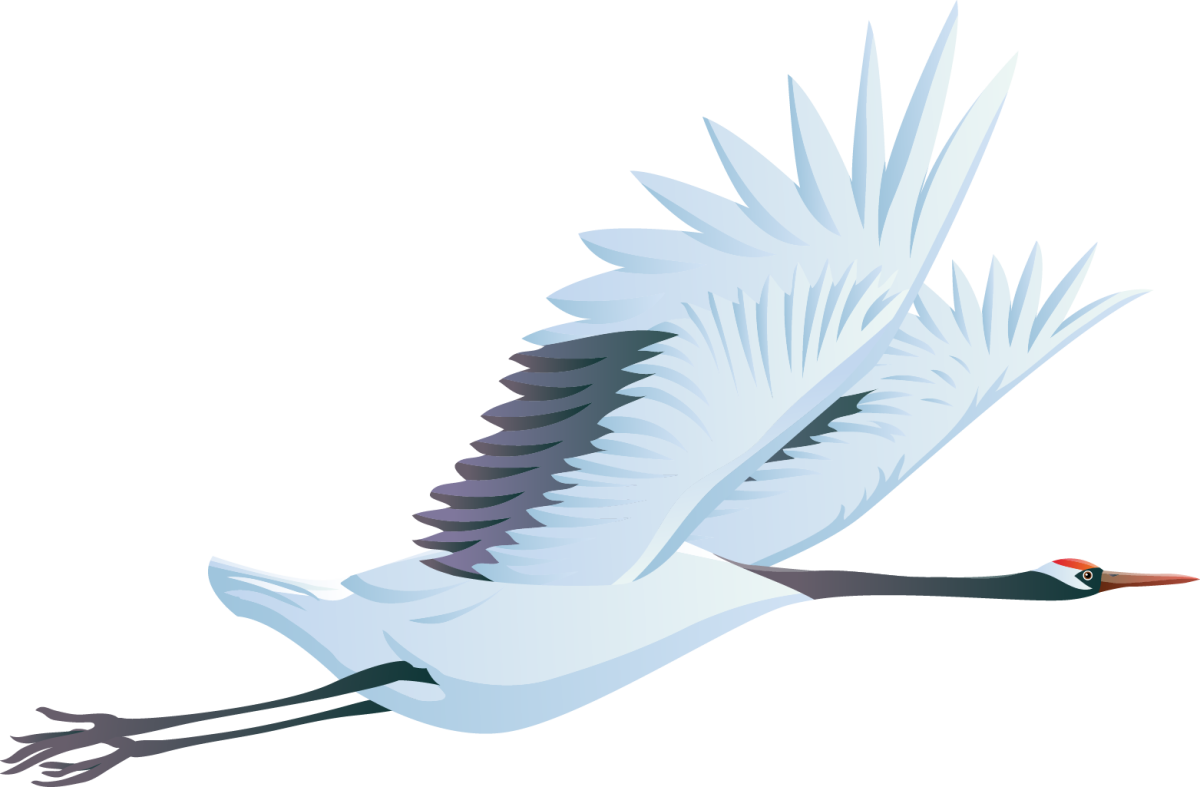 Аист рисунок