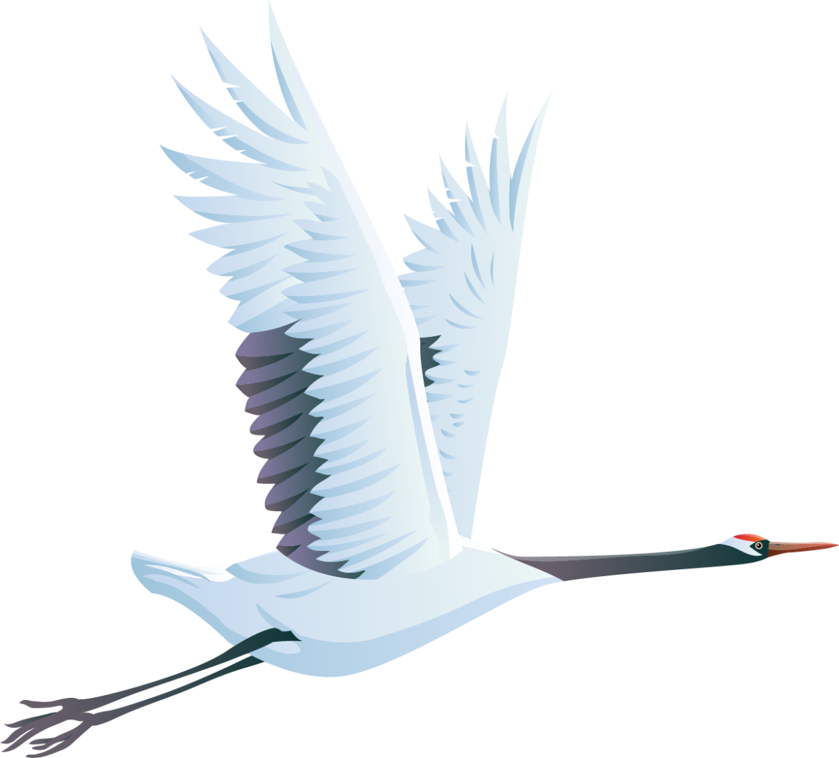 Журавль вектор