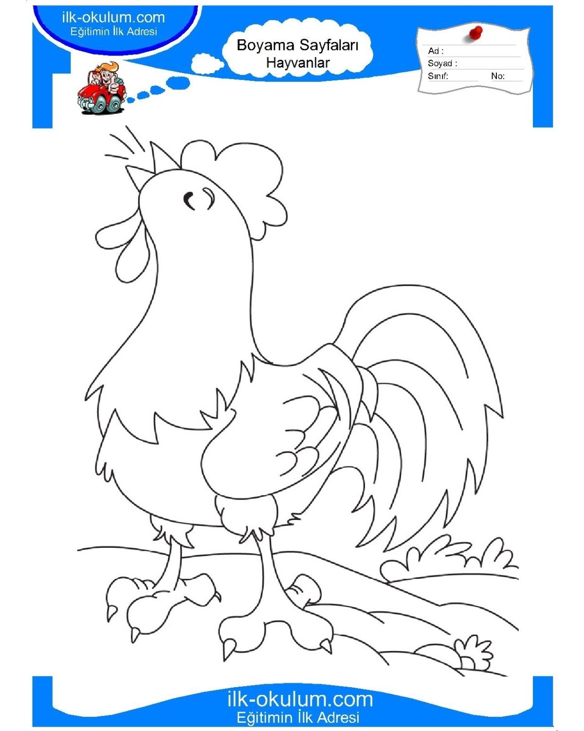 Петух раскраска для детей