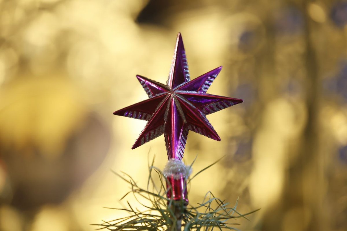 Вифлеемская звезда геральдика