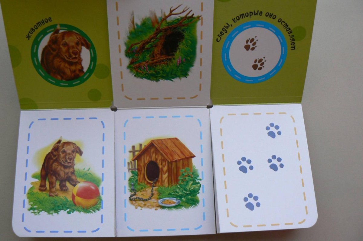 Дидактическая игра кто где живет