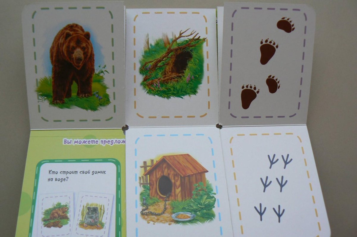 Кто где живёт животные