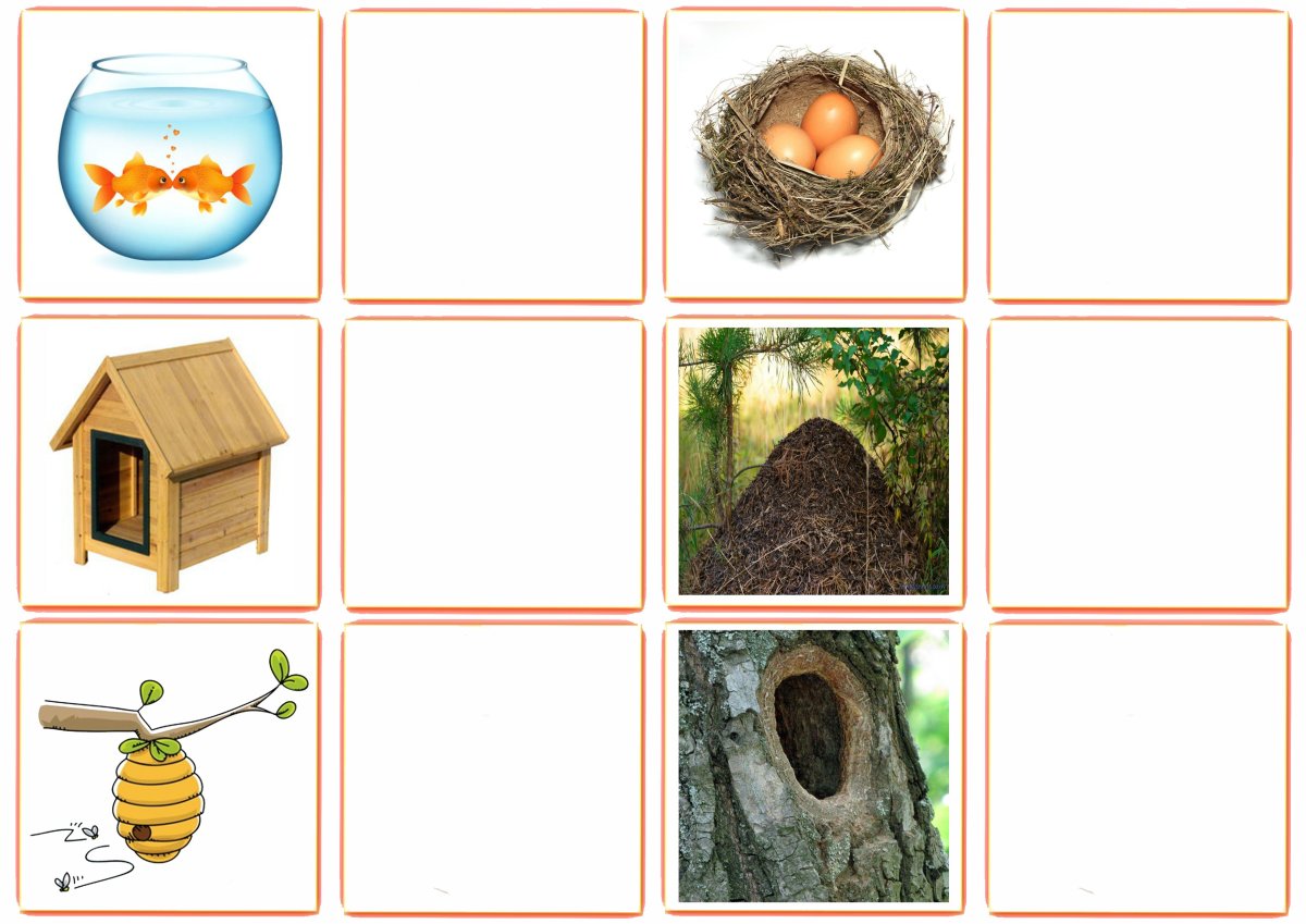 Игра "кто где живет?"