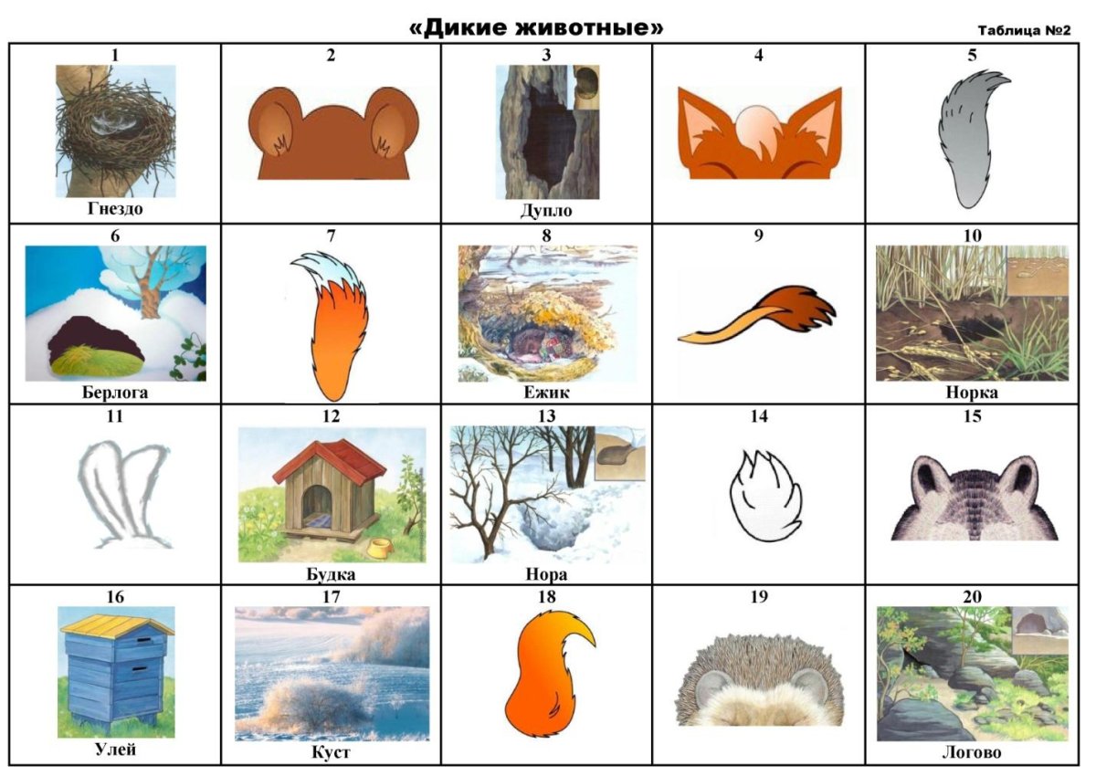 Домашние животные задания для детей