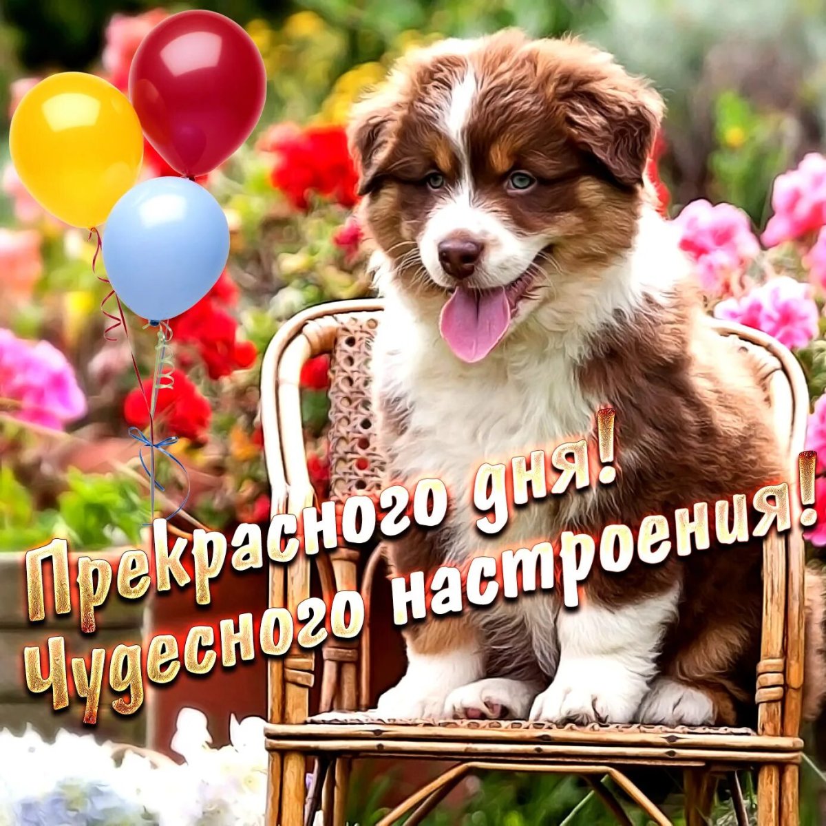 Баночка хорошего настроения