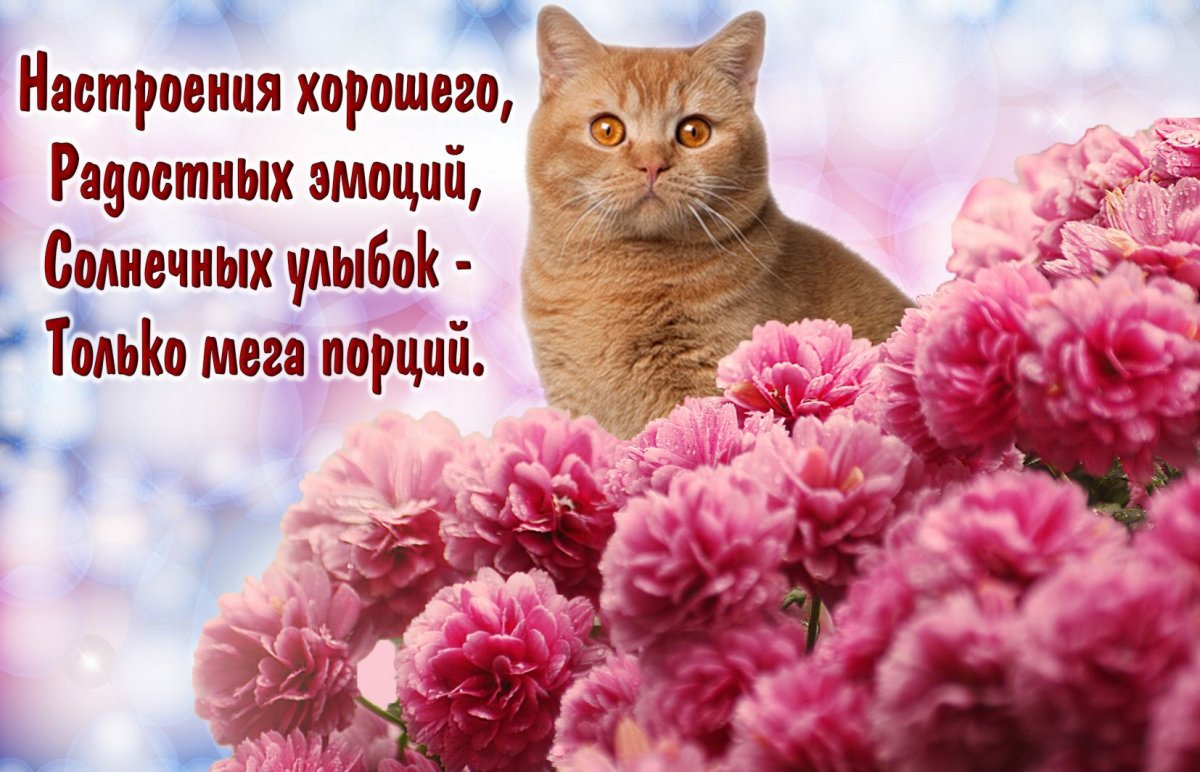 Оригинальные открытки с добрым утром