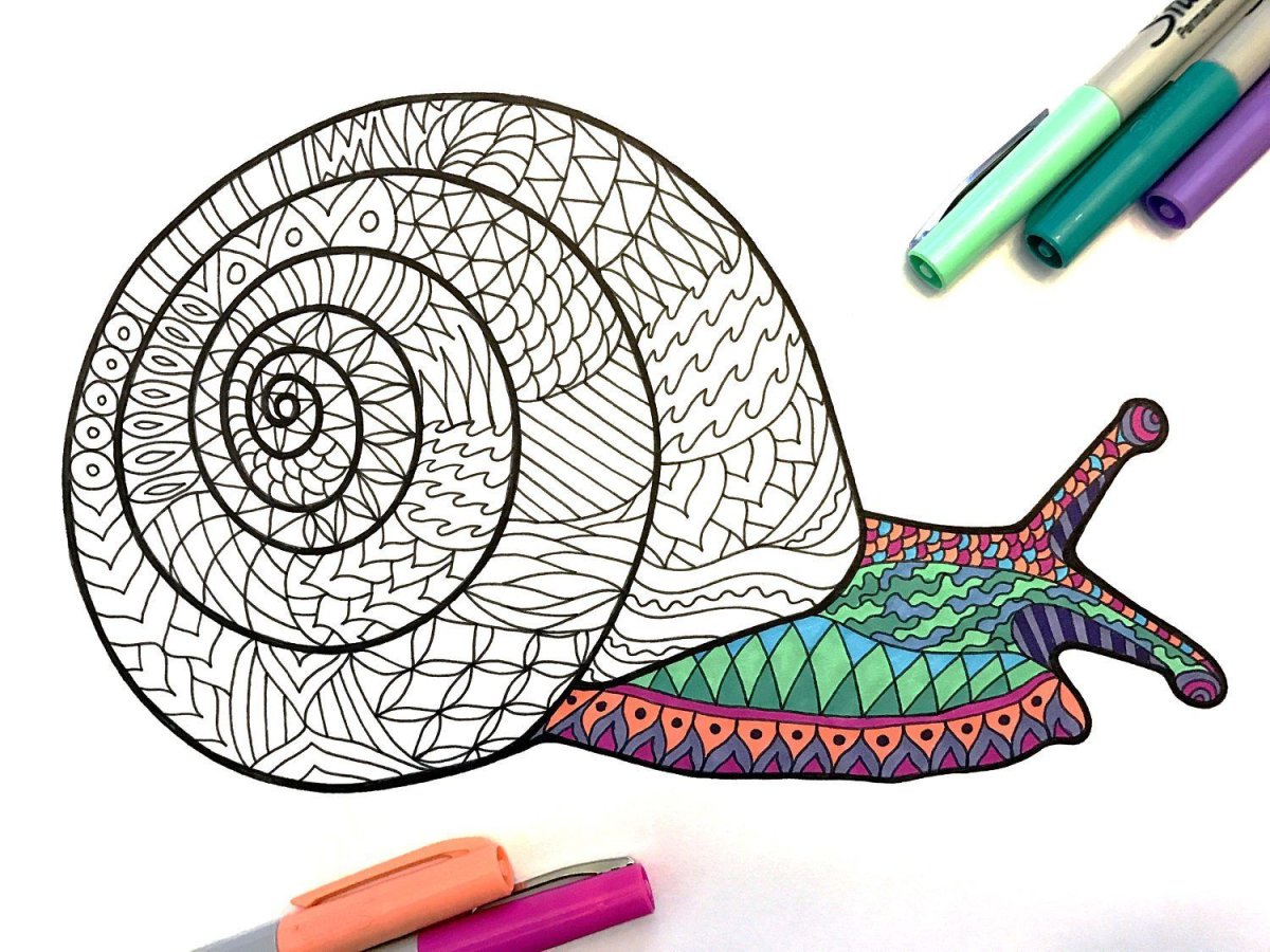 Зенарт улитка